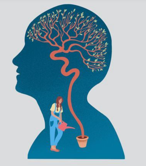 Image failed to load: 0.png